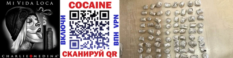 продажа наркотиков  Чегем  OMG как войти  COCAIN FishScale 