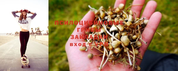 2c-b Нефтекумск