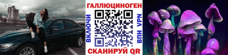 Галлюциногенные грибы ЛСД  Чегем 