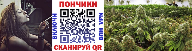 Марихуана LSD WEED  МЕГА tor  Чегем  купить наркоту 